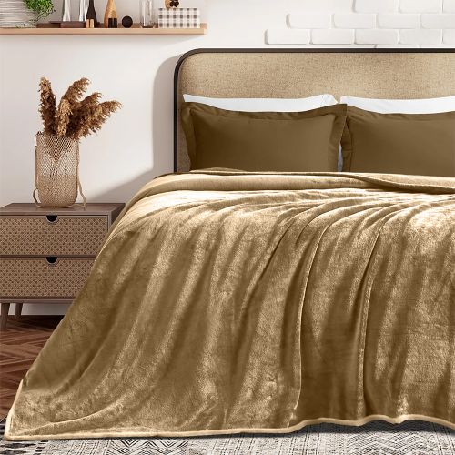 Εικόνα της ΚΟΥΒΕΡΤΑ ΒΕΛΟΥΤΕ COBERTOR BEIGE 220X240