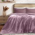 Εικόνα της ΚΟΥΒΕΡΤΑ ΒΕΛΟΥΤΕ COBERTOR LILAC 220X240
