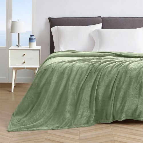 Εικόνα της ΚΟΥΒΕΡΤΑ ΒΕΛΟΥΤΕ PELLO MINT 220X240