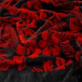 Εικόνα της ΠΕΤΣΕΤΑ ΘΑΛΑΣΣΗΣ FIORRE DGREY-RED 86X160