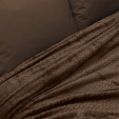 Εικόνα της ΚΟΥΒΕΡΤΑ PELUSA BROWN 220X240