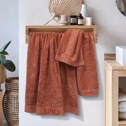 Εικόνα της ΠΕΤΣΕΤΑ BRANDY TERRACOTTA 50X100
