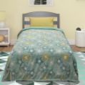 Εικόνα της ΚΟΥΒΕΡΤΑ FLEECE SHERPA ΦΩΣΦΟΡΙΖΕ STER MINT 160X220