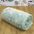 Εικόνα της ΚΟΥΒΕΡΤΑ FLEECE SHERPA ΦΩΣΦΟΡΙΖΕ STER MINT 160X220