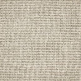 Εικόνα της ΥΦΑΣΜΑ RAGUSA 300CM C-03 (100% PES)